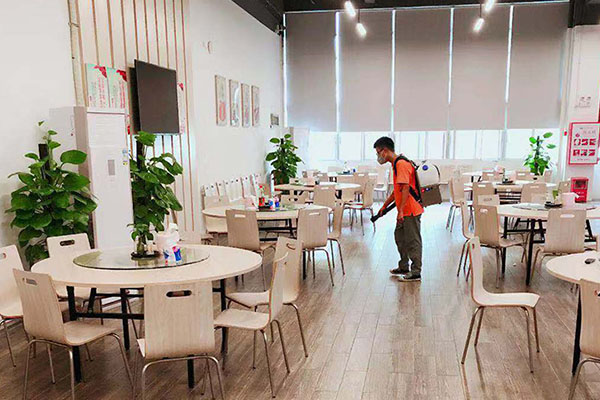 黃圃專業(yè)蟲(chóng)害防治廠家