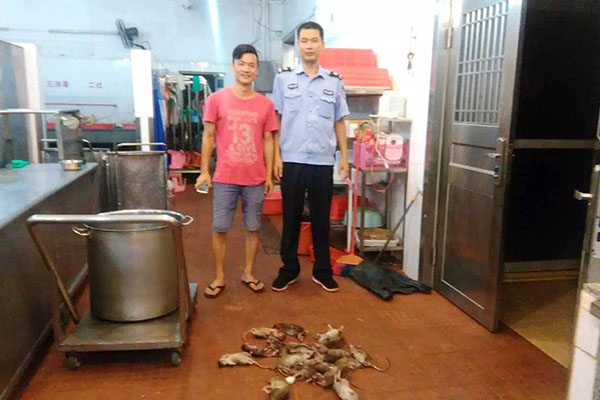 南頭專業(yè)滅蟑螂價(jià)格