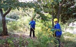 中山白蟻防治公司，當天上門服務，1小時內(nèi)