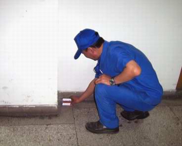 中山超市出現(xiàn)老鼠怎么辦？中山專業(yè)滅鼠公司