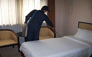 中山滅蟑螂有效的方法都有哪些？