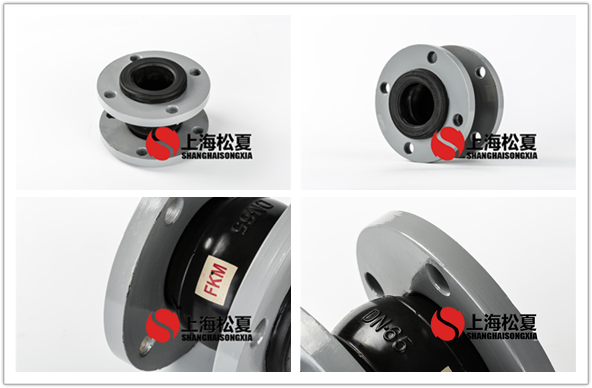 FKM-DN100-16kg耐腐蝕氟<a href='http://www.newhzexpo.com' target='_blank'><u>橡膠接頭</u></a>