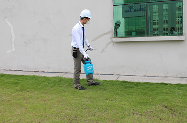 專業(yè)除蟲公司教你防治多腳馬陸 專業(yè)除蟲公司教你防治多腳馬陸